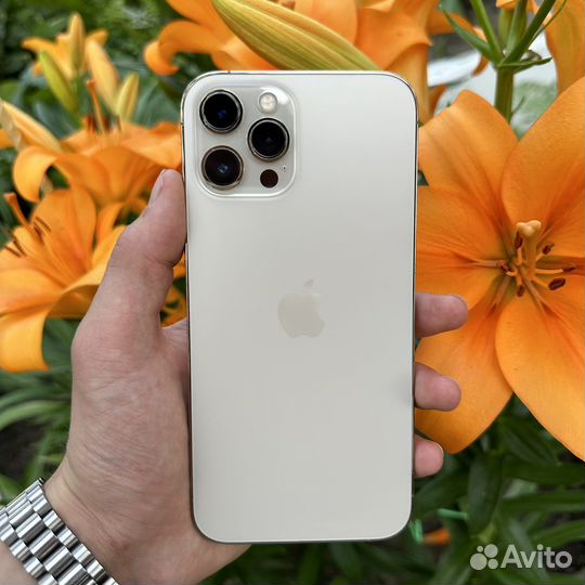 iPhone 12 Pro Max 256Gb