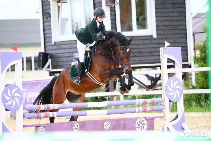 Детский мерин 2013гр 168см