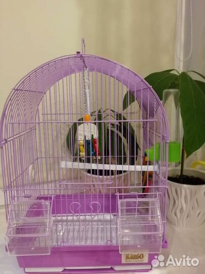 Клетка+корм