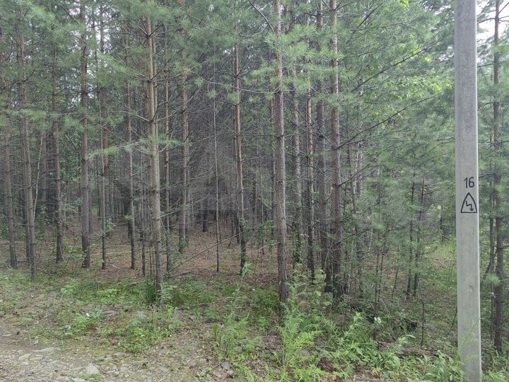 Участок 7,8 сот. (СНТ, ДНП)