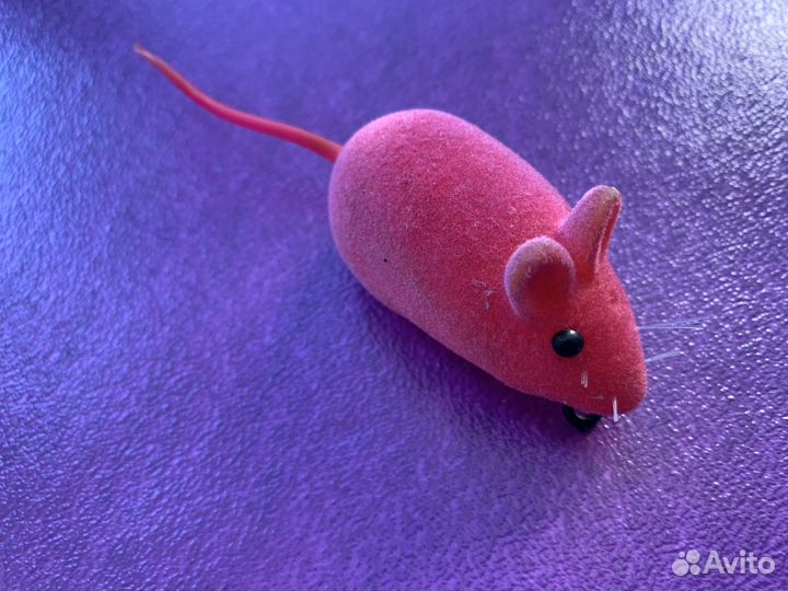 Мышка для кошки Игрушки для котят бу для животных