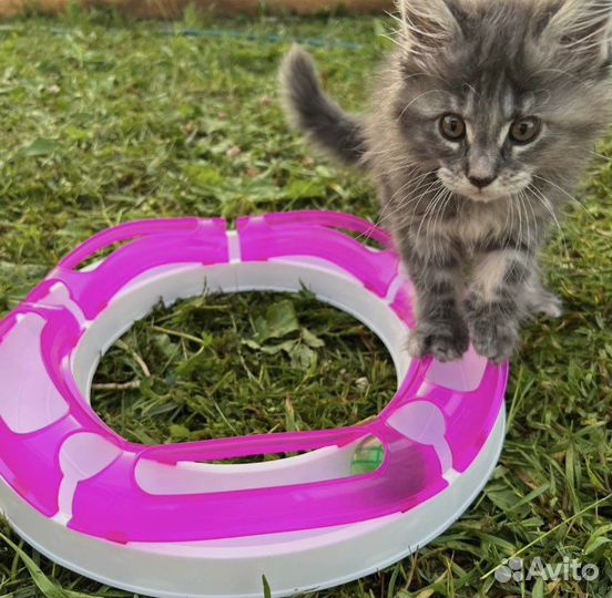 Игрушка тоннель с мячиком