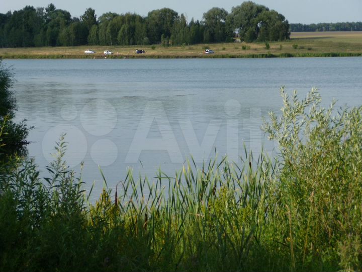 Участок 52 га (СНТ, ДНП)