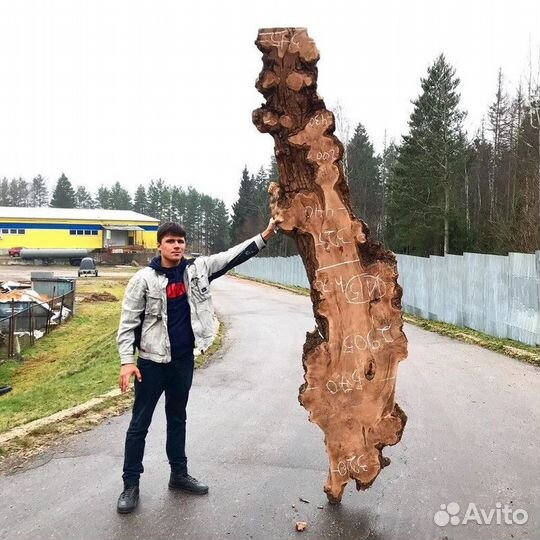 Слэб спил дуба