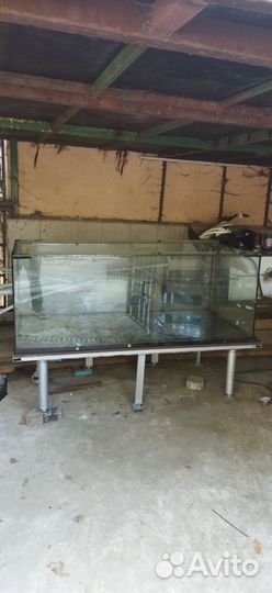 Аквариум для торговли: Живой Рыбы; Раков. 768л