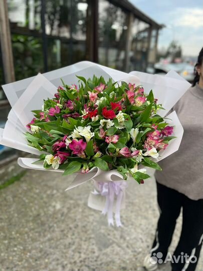 Флористика