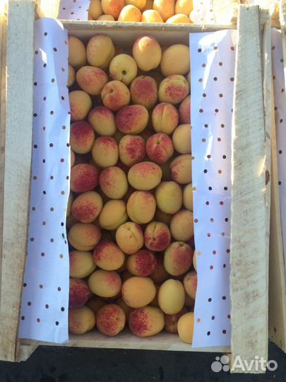 Абрикосb Армения