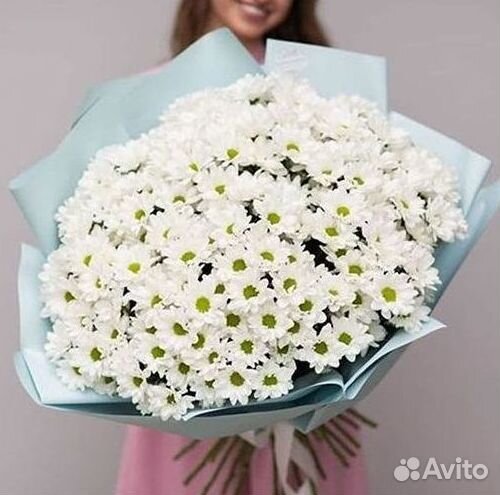 Хризантема Букет хризантем Доставка