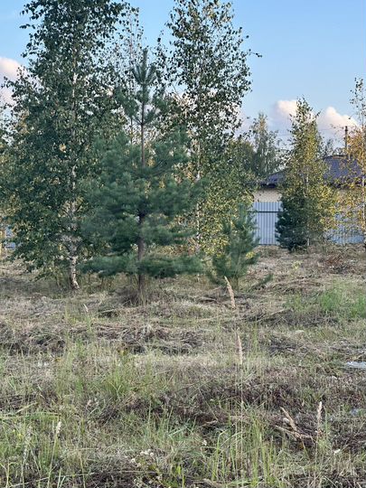 Участок 15 сот. (ИЖС)