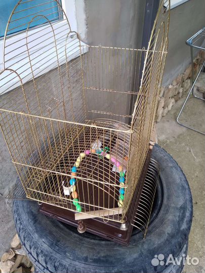 Клетка для волнистого попугая