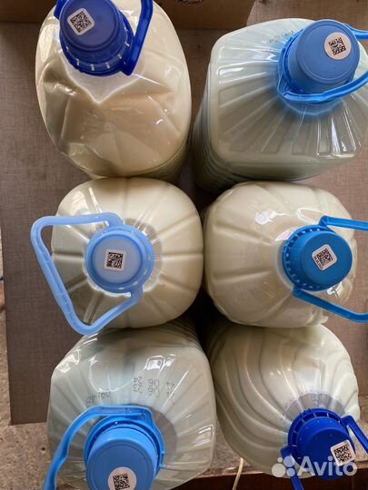 Молоко коровье домашнее