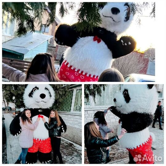 Аниматор. Поздравление от Мишки и Панды