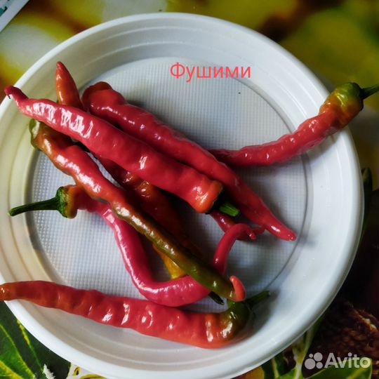 Семена сладкого перца