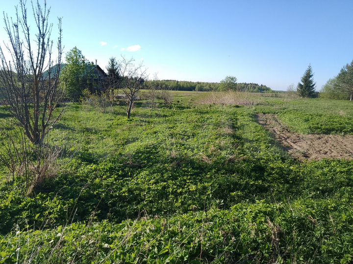 Участок 35 сот. (ИЖС)