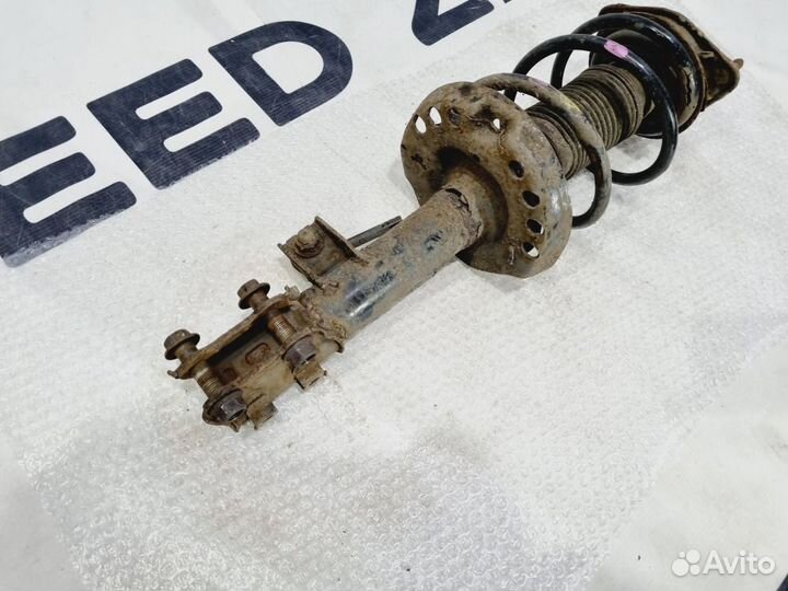 Стойка амортизатора передняя правая Kia Ceed ED