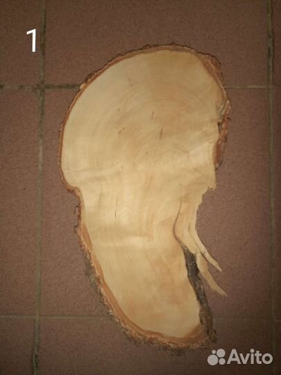 Сувель березовый