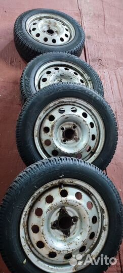 Продаю колюса