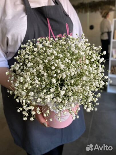 Коробка с гипсофилой