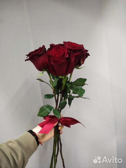 Букет из 5 высоких красных роз