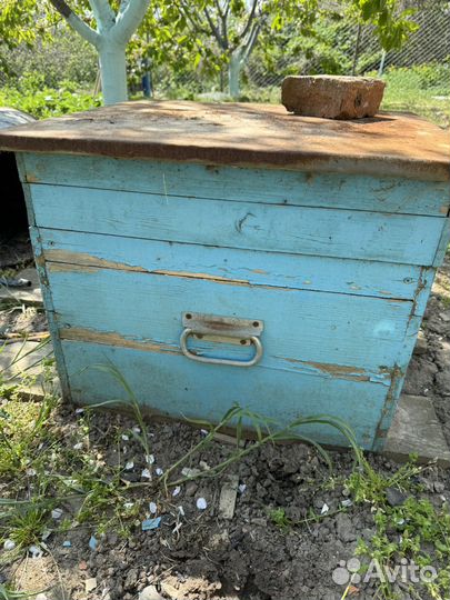 Улей для пчел бу