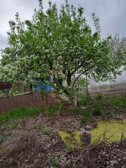 Дача 25 м² на участке 5,2 сот.