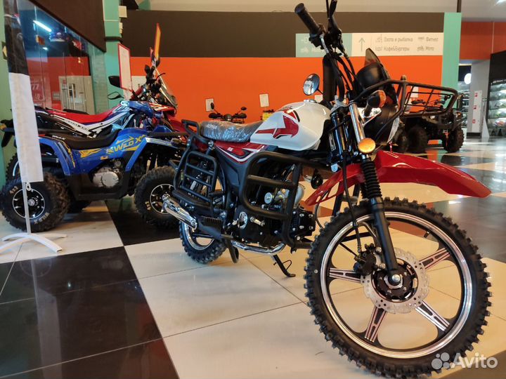 Альфа Forester RS 11 (LM48-B)