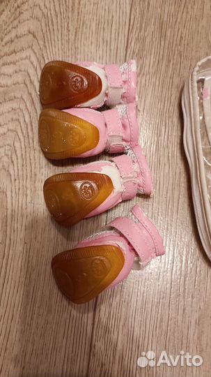 Ботинки для собак