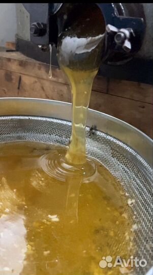 Липовый мед 2024