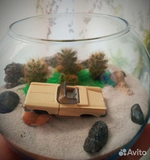 Флорариум кактусы суккуленты мини сад