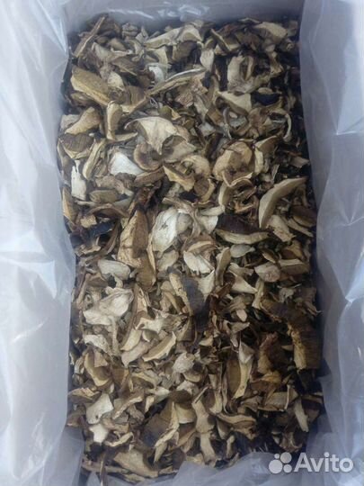 Гриб белый сушеный