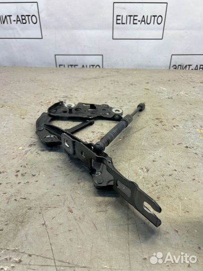Петля капота правая Bmw 5 G30 2.0 2020