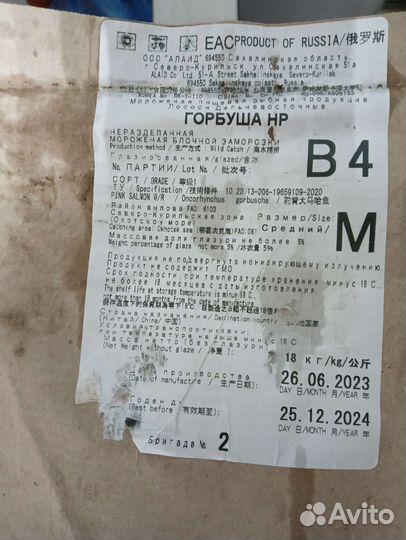 Горбуша, кета, кижуч, форель, молоки лососевых