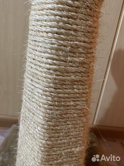 Когтеточка