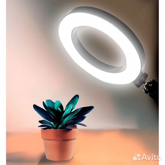 Кольцевая светодиодная (LED) Лампа Smartbuy 15Вт