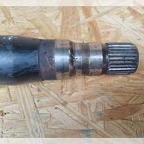 ⭐︎ 無料]9/4(木)大井競馬新聞～ゴールドジュニア～｜園田＆姫路競馬