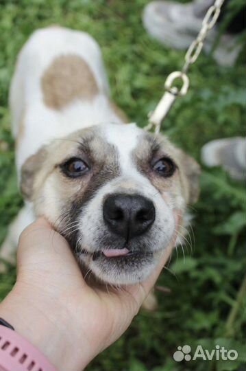 Миниатюрная девочка