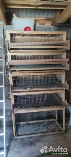 Клетки для перепелов бу