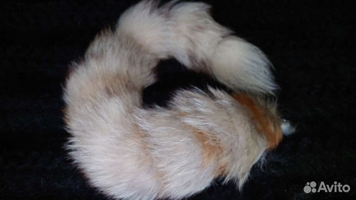 Лисий хвост