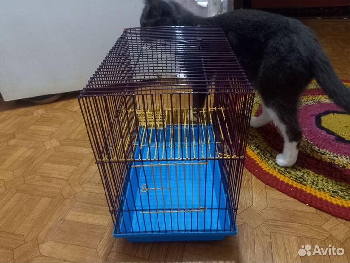 Клетка для грызунов бу