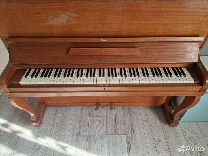 Пианино Galisia