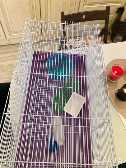 Клетка для грызунов бу