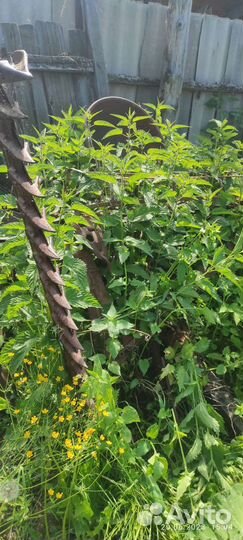 Косилка для трактора