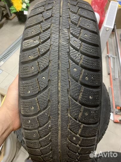 Gislaved Nord Frost 5 185/65 R15