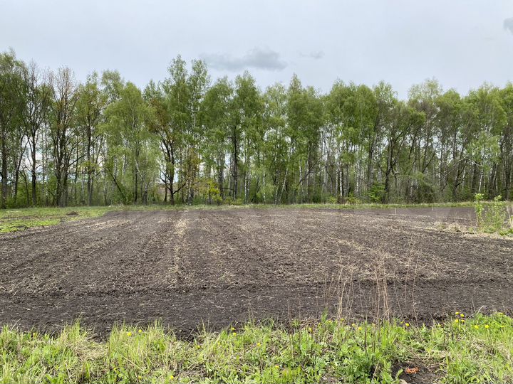 Участок 15 сот. (ИЖС)