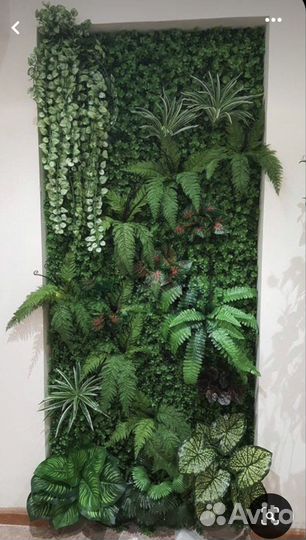 Фито панно, озеленение стен иск растениями и мхом