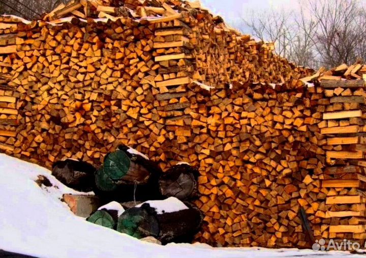 Дрова без гнили