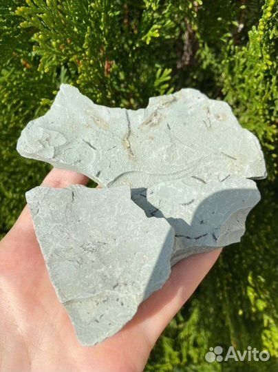 Кембрийская глина