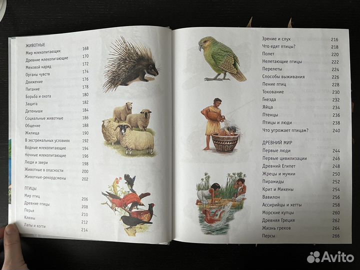 Энциклопедия 