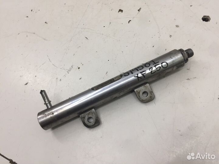 Рейка топливная (рампа) (Jaguar XF)