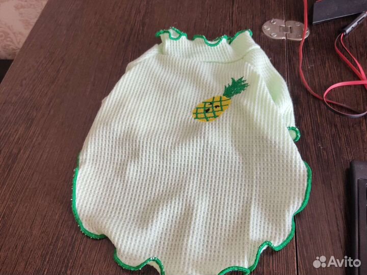 Одежда для животных